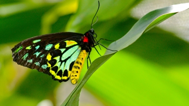 Фото: Kyle Taylor, Dream It. Do It,  visualhunt.com