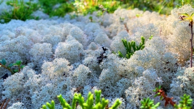 Фото наших Странников