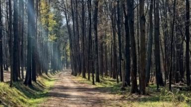 Фото нашего гида Александра Чудновского