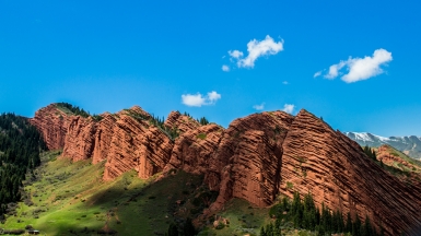 Семь быков. Фото: Ирина Елизарова