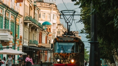 Фото: dmitry smirnov on unsplash