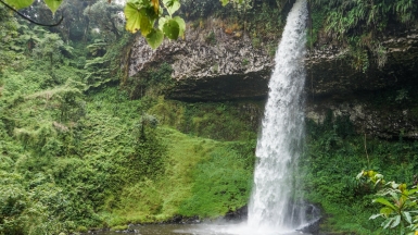 Фото: Ninara31, visualhunt.com