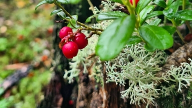 Фото нашего гида Александра Чудновского