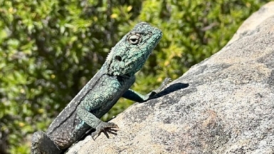Фото: наш гид Алексей Шорец
