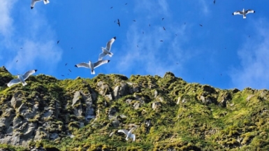 Фото нашей Странницы Анны Лазаренко