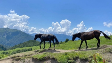 Фото наших Странников