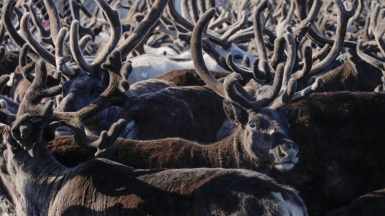 Фото из архива Клуба