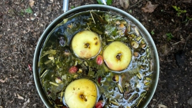 Фото нашего гида Елены Кузура