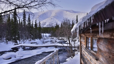 Фото: Татьяна Мамоненкова 