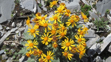 Фото нашего гида Ирины Пряничниковой