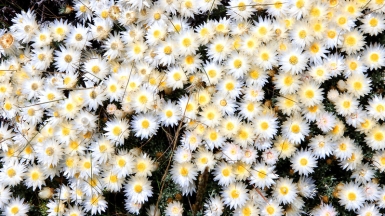 Фото: Giåm, visualhunt.com