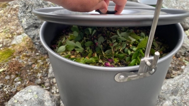 Фото нашей Странницы Галины Беркутовой