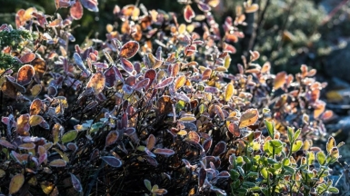 Фото: Андрей Найдёнов