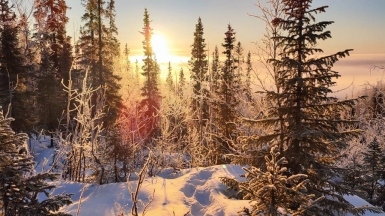 Фото нашего гида Галины Шелудько