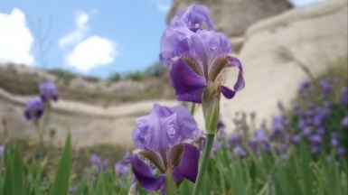 Фото нашего гида Ирины Пряничниковой