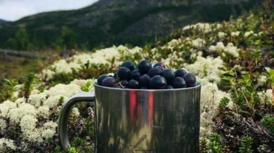 Фото наших Странников