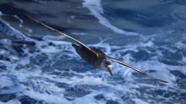 Автор: Liam Quinn, источник: visualhunt