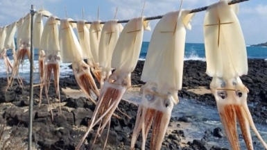 Фото нашего гида Лики Майстровой