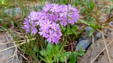 Фото гида Андрея Ткачёва