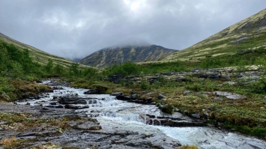 Фото нашей Странницы Елизаветы Шкляевой