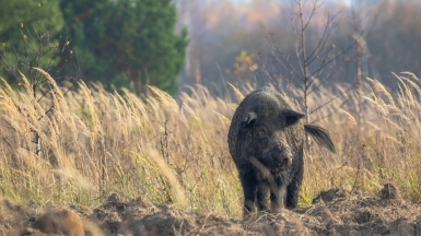 Фото нашего гида Михаила Верёвченко