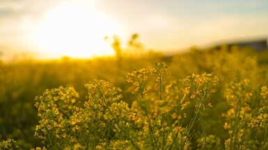 Фото: Ainur Khakimov, unsplash.com