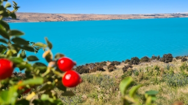 Фото: JustGoThere.NZ