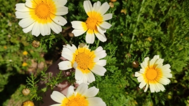 Фото из архива Странника