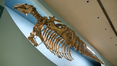 Фото: cliff1066, visualhunt.com