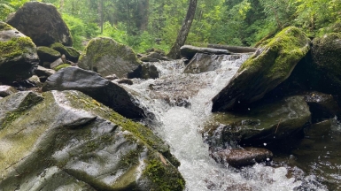 Фото нашего гида Натальи Герасимовой