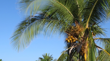 Источник: visualhunt.com