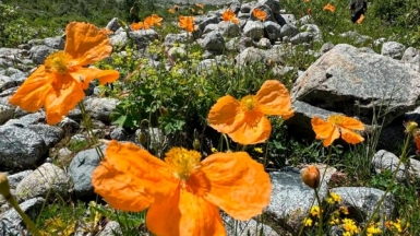 Фото наших Странников