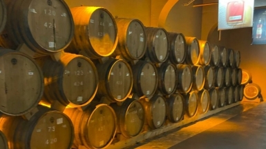 Коньячный завод Арарат. Фото нашей Странницы Эланы Паньковой