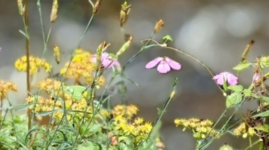 Фото наших Странников