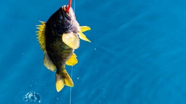 Фото из архива Клуба