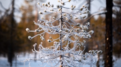 Фото нашего гида Михаила Верёвченко