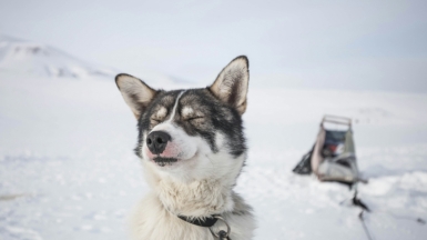 Фото: James Padolsey on unsplash