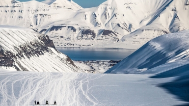 Фото: Сергей Доля