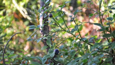Фото нашего гида Алексея Петровского