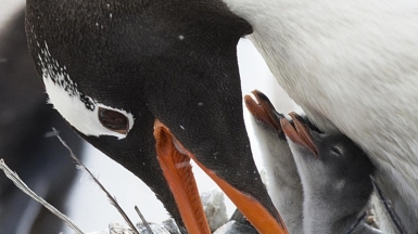 Christopher.Michel on VisualHunt