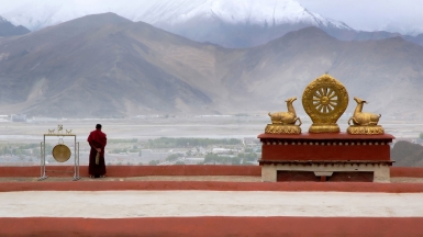 Фото: Hailin Chen on shutterstock