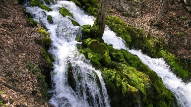 Родник Пания