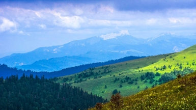 Фото: depositphotos.com