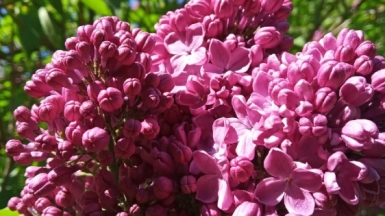 Фото нашего гида Галины Шелудько