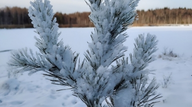 Фото наших Странников