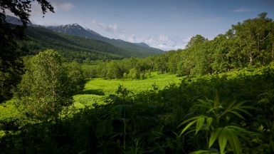 Таловские источники, фото: Степанов Илья