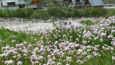 Фото нашего гида Геннадия Скосырева