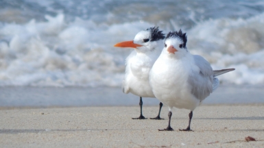 Фото: PETE HAAS, unsplash.com