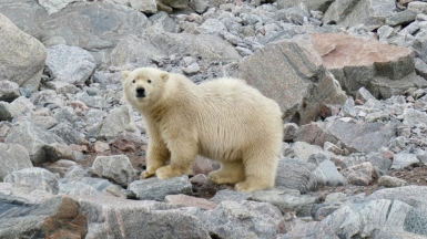 Фото: Isaac Demeester on Unsplash