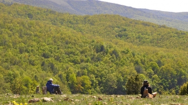 На пути к Ай-Петри, фото: Виктория Васильченко